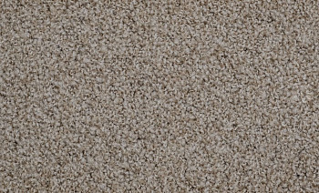 Vorwerk Exclusive1009/Elara 8g81 фото 1 | FLOORDEALER